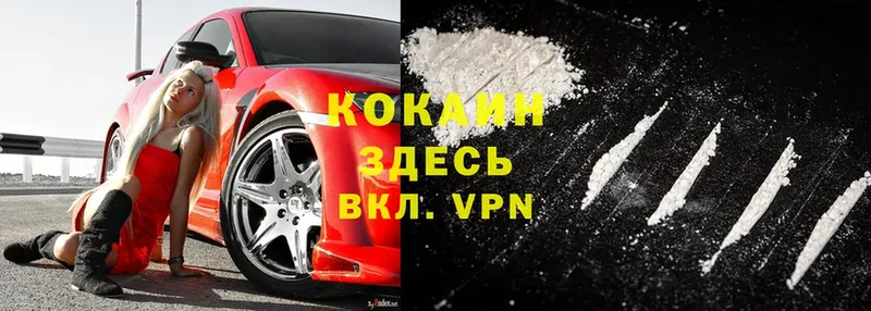 Cocaine Боливия  как найти закладки  hydra маркетплейс  Щёкино 